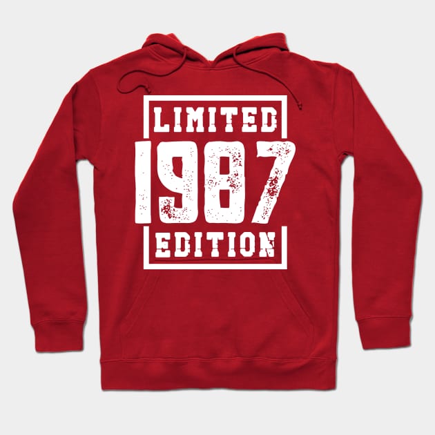 1987 Limited Edition Hoodie by colorsplash